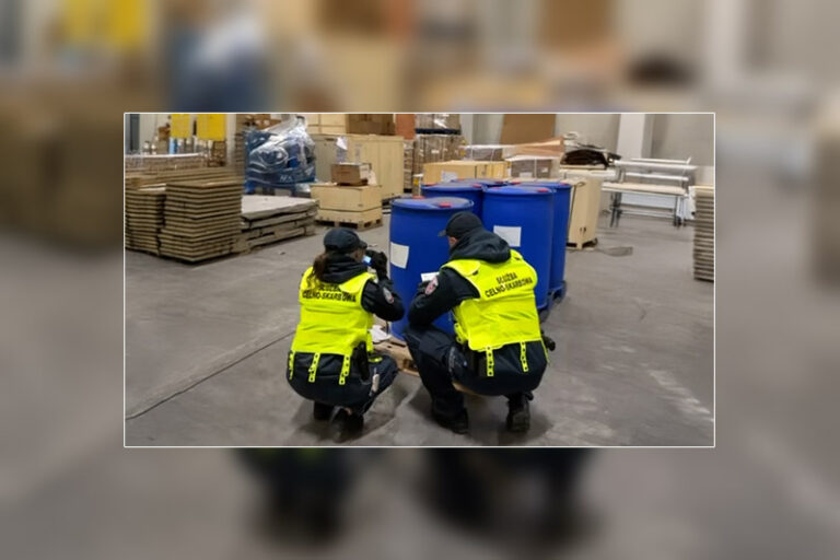 pigułki gwałtu w gdańskim porcie