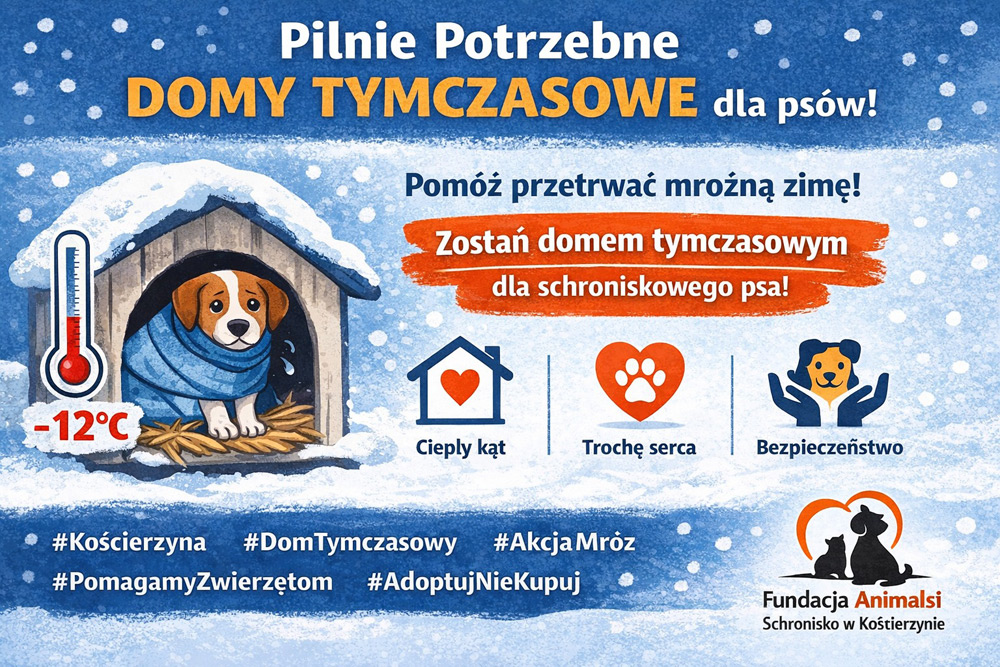 Akcja mróz Kościerzyna Animalsi