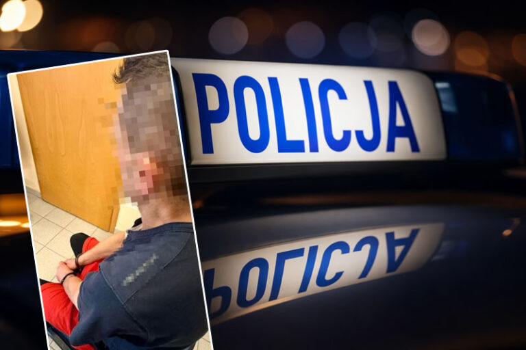 Seria włamań na terenie ogródków działkowych w Kartuzach