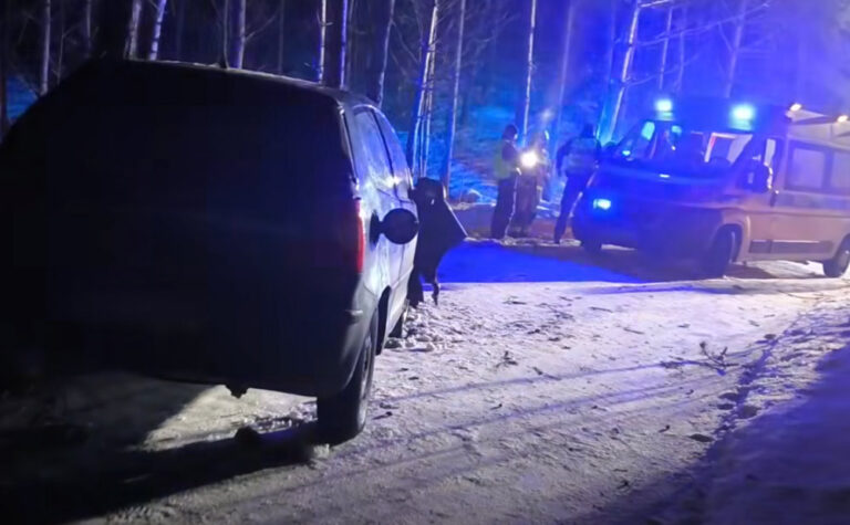 Sominy zderzenie z drzewem